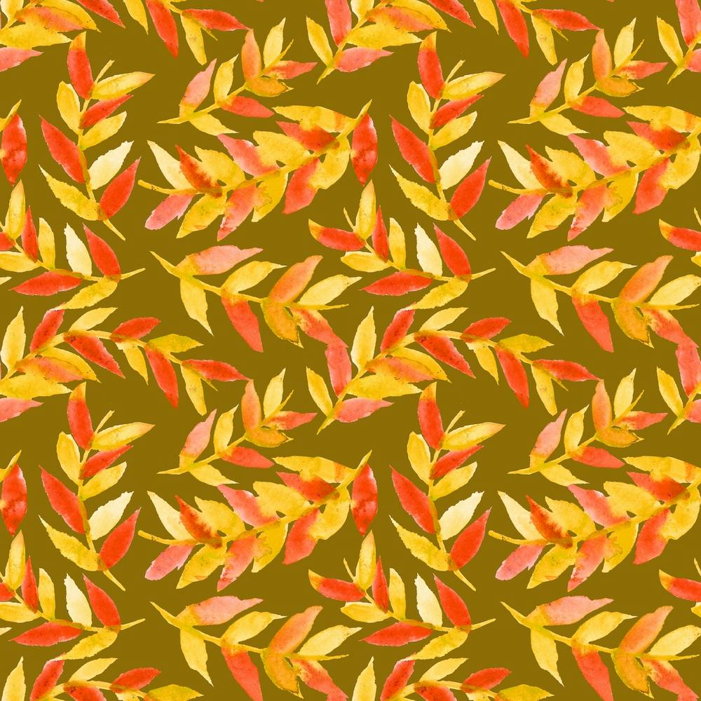 Leaves Curved Yellow Orange On Olive