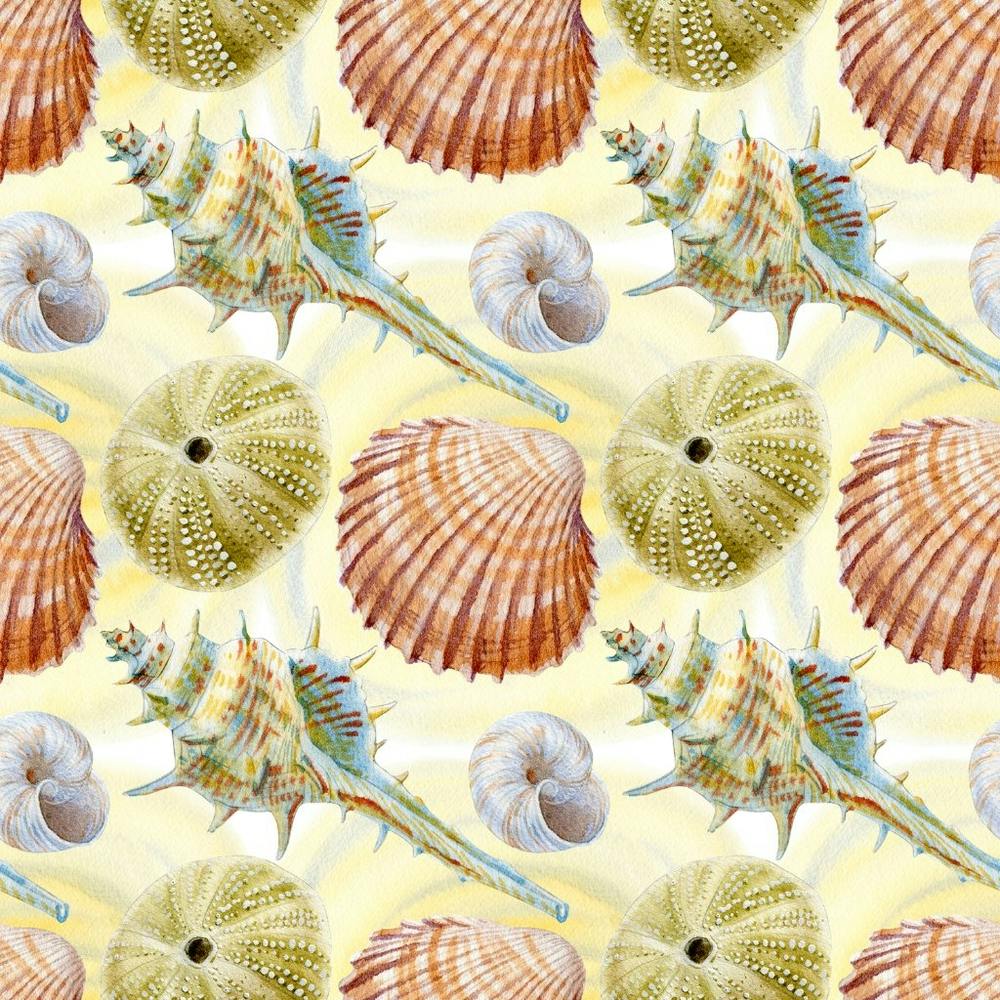 Seashells