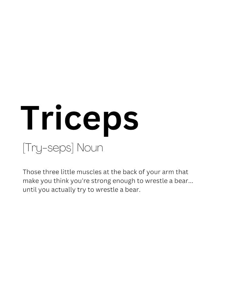 Triceps Definition Meaning