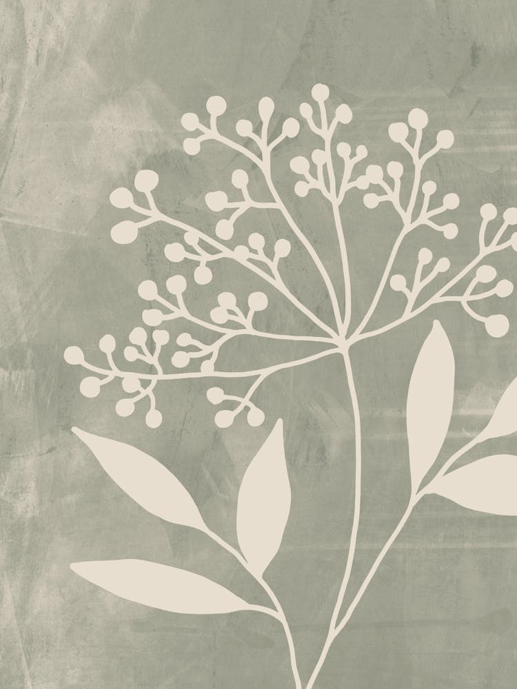 Botanical in Sage Green, Minimalist
