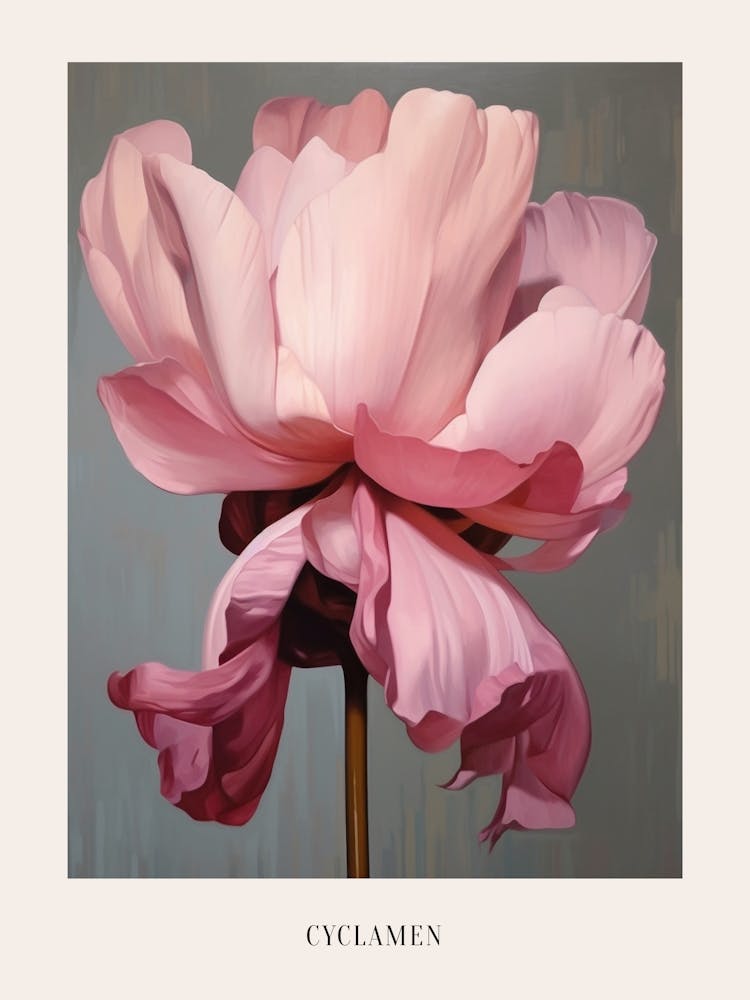 Floral Illustration Cyclamen 1 Poster