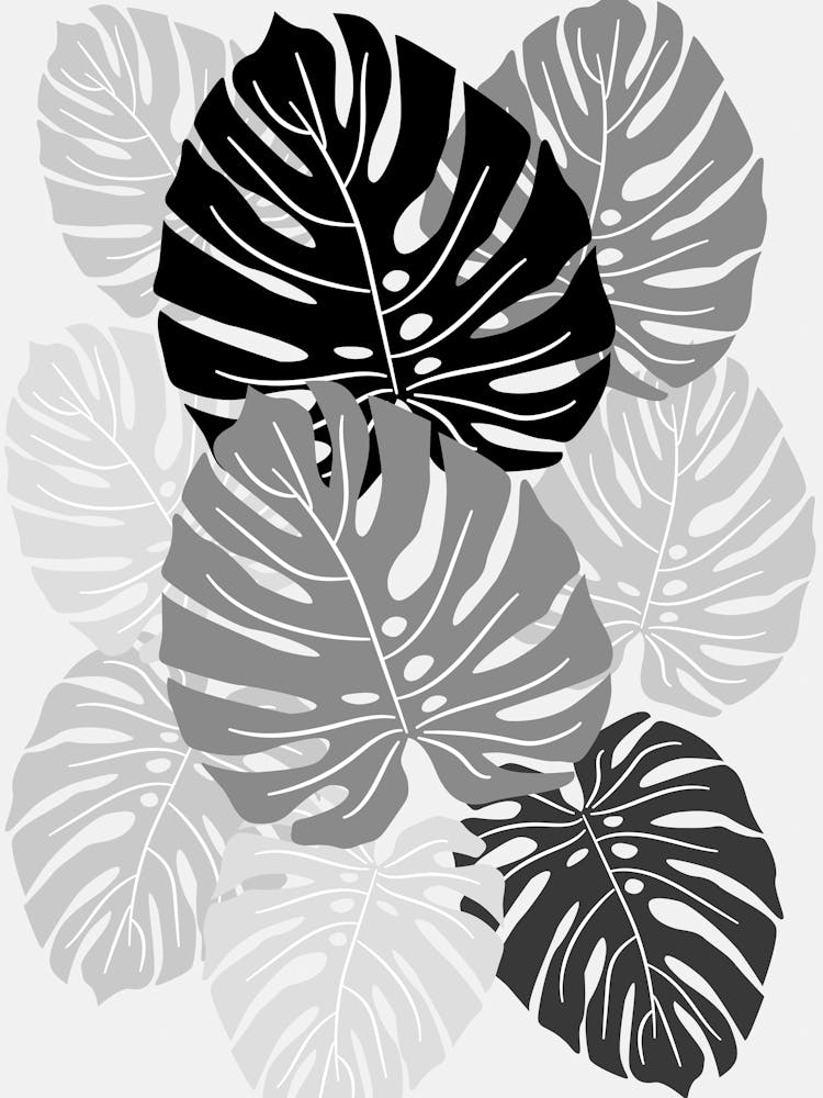 Monstera Leaves 3