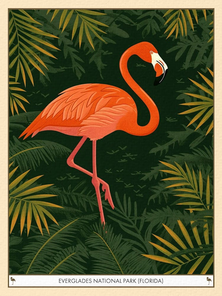 Greater Flamingo Everglades National Park Florida Tropical Illustration 2 Poster