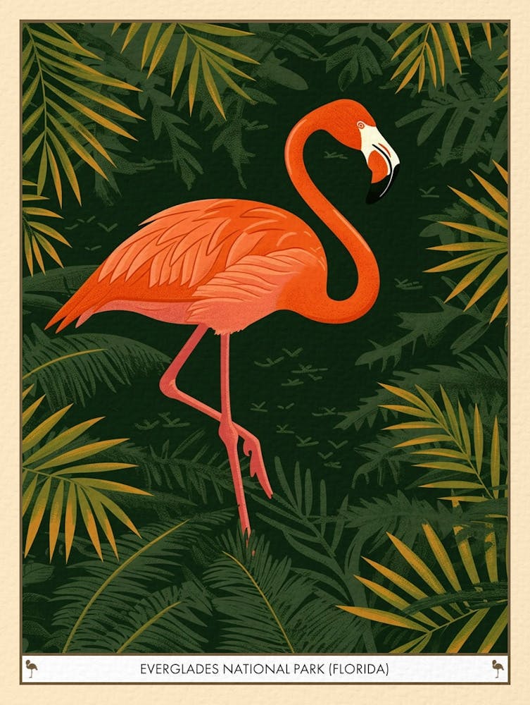 Greater Flamingo Everglades National Park Florida Tropical Illustration 2 Poster
