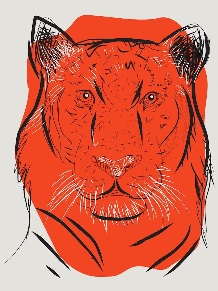 Tiger Head 2