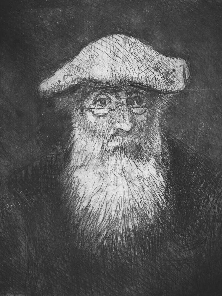 Portrait Of An Old Man 1