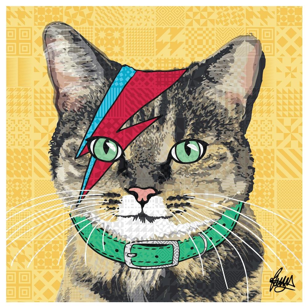 Bowie Tabby Square