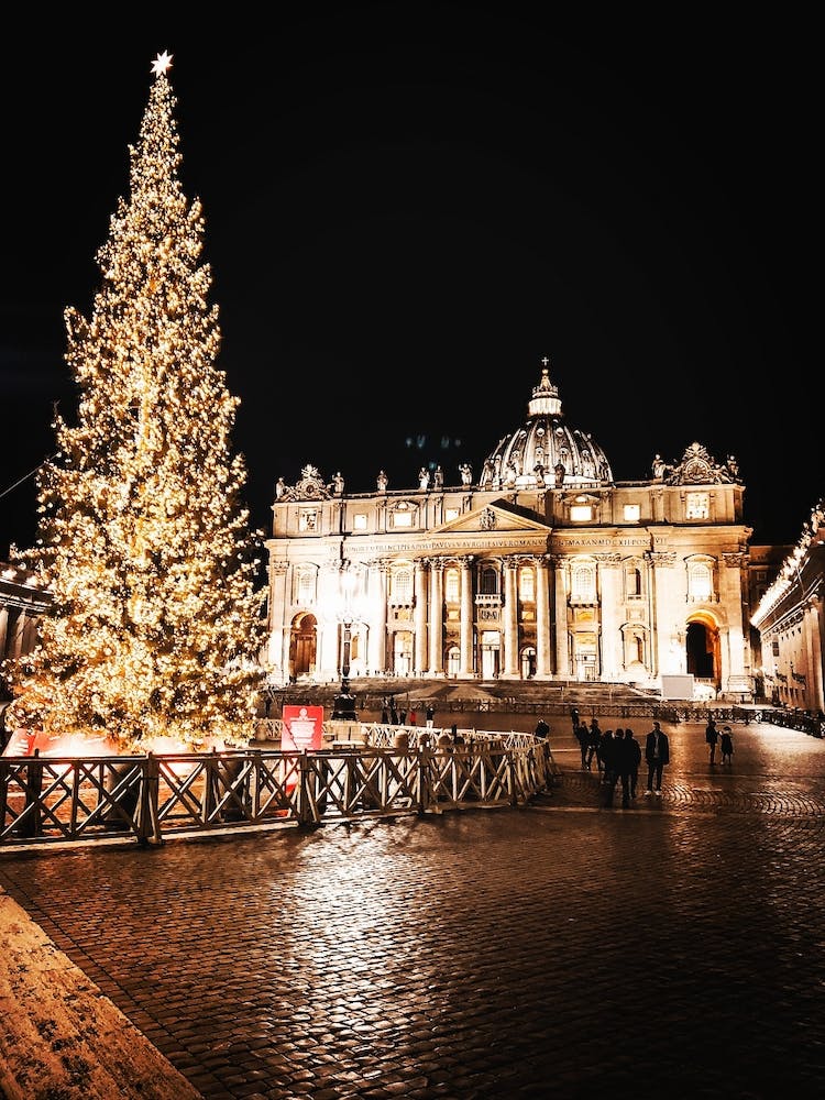 Beleuchteter Weihnachtsbaum vor Gebäude 2787074 1 1