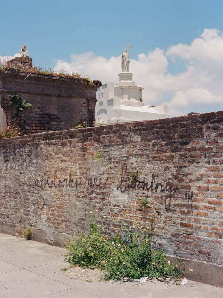 New Orleans Street Art V on Film