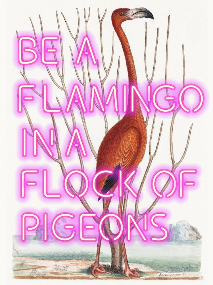 Be a flamingo in a flock of pigeons Vintage altered art, trendy wall art decor