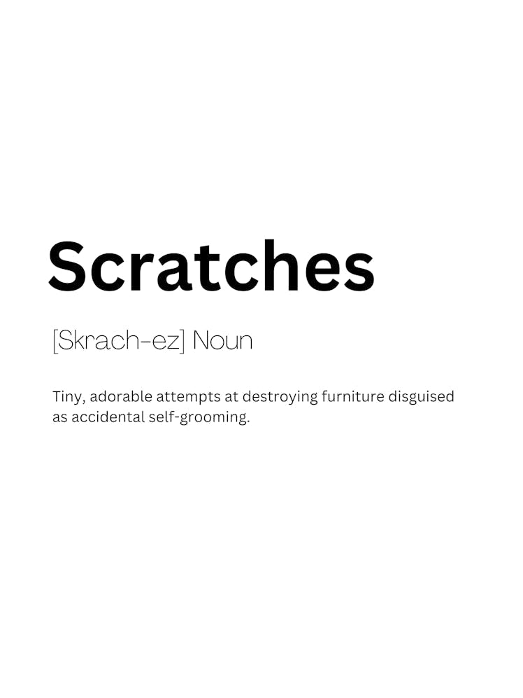 Scratches Definition Meaning