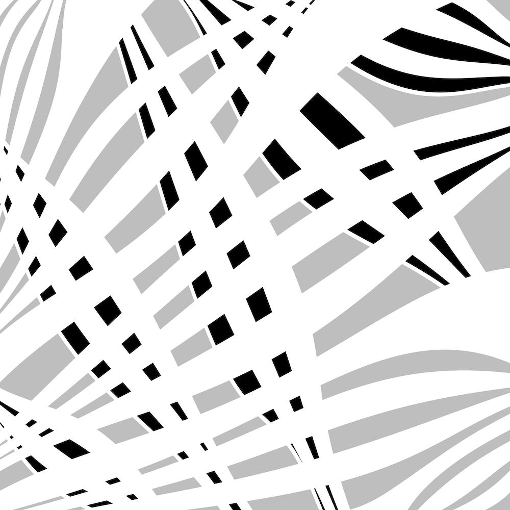 Abstract Black And White Pattern 2