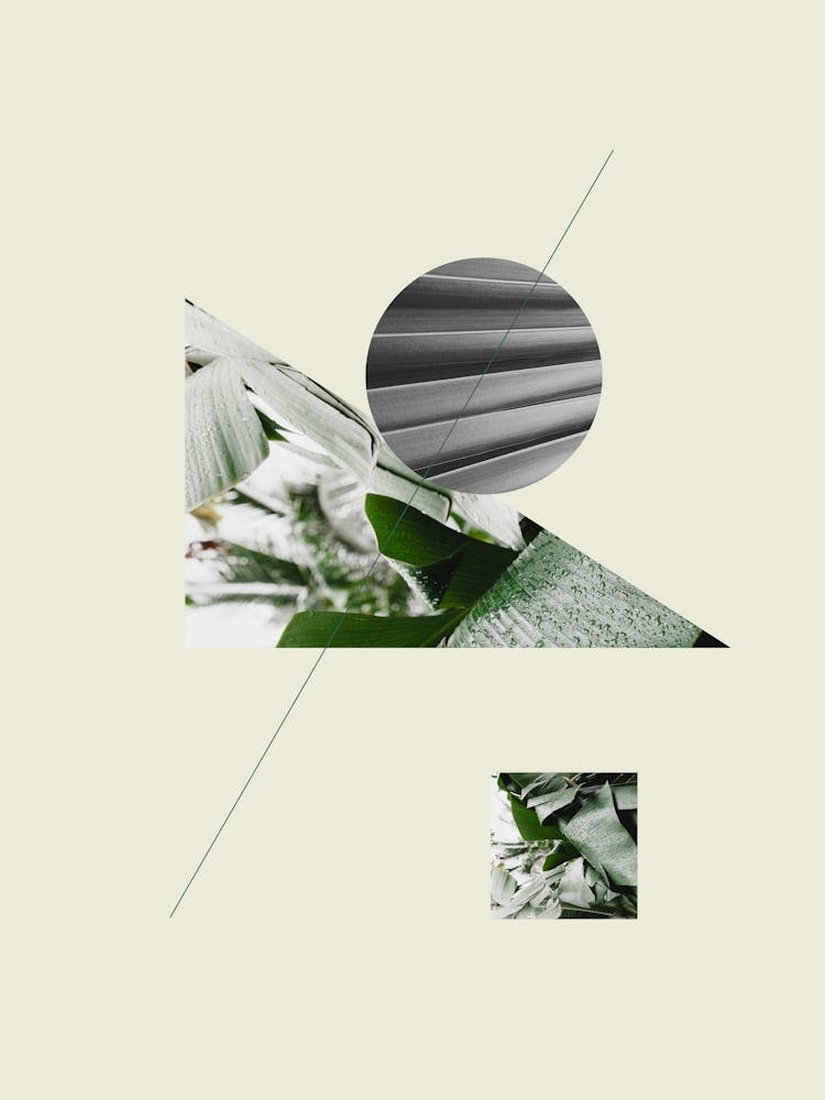Tropical Geometry No 2
