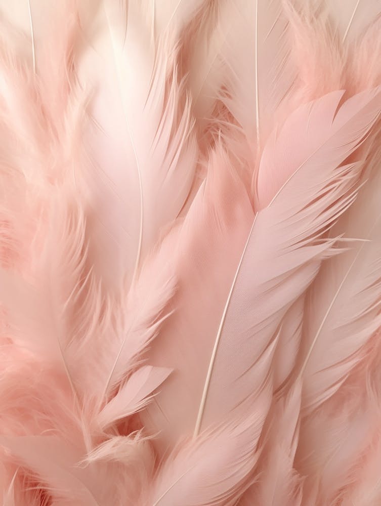 Rosa Boho-Feder 3
