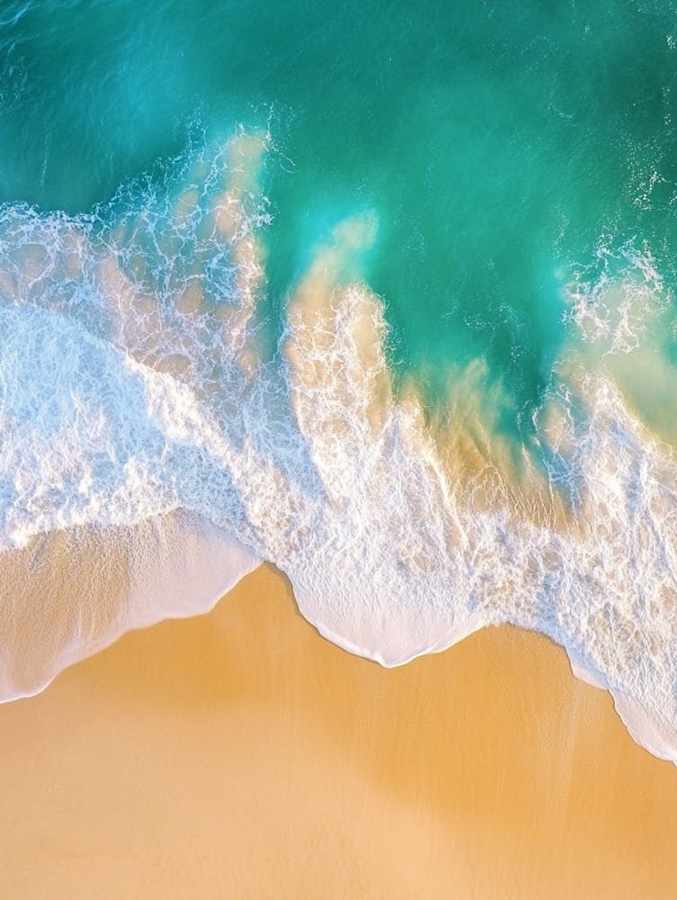 Aerial View Of A Beach 6