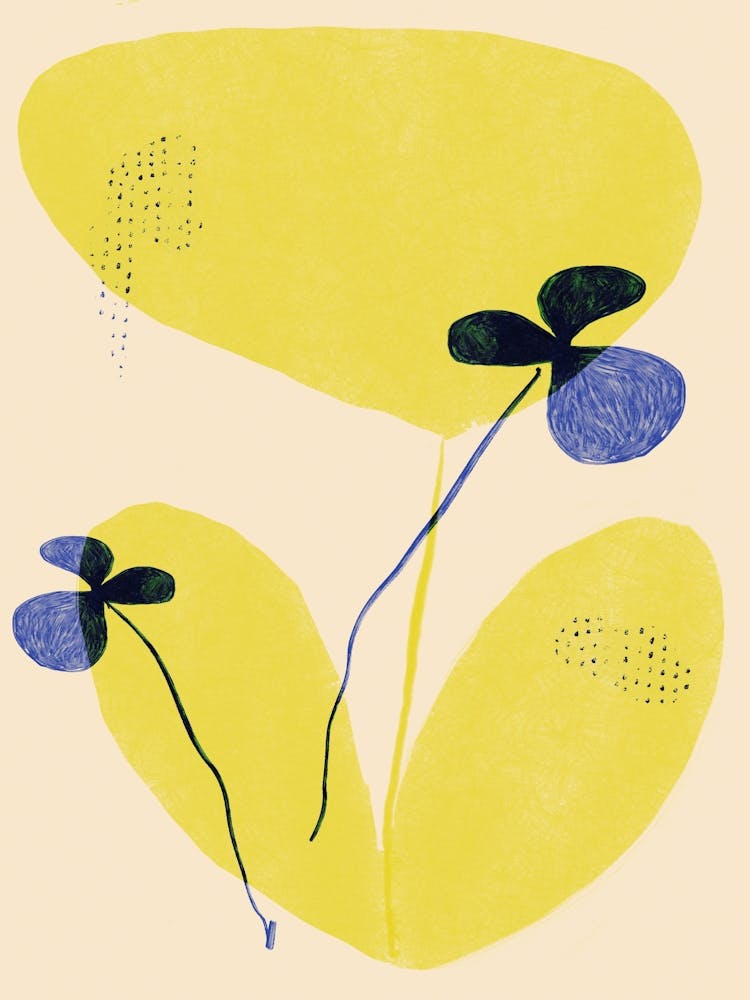 Farbblüte Nr. 13
