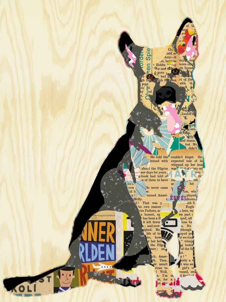 Shepherd Dog Collage