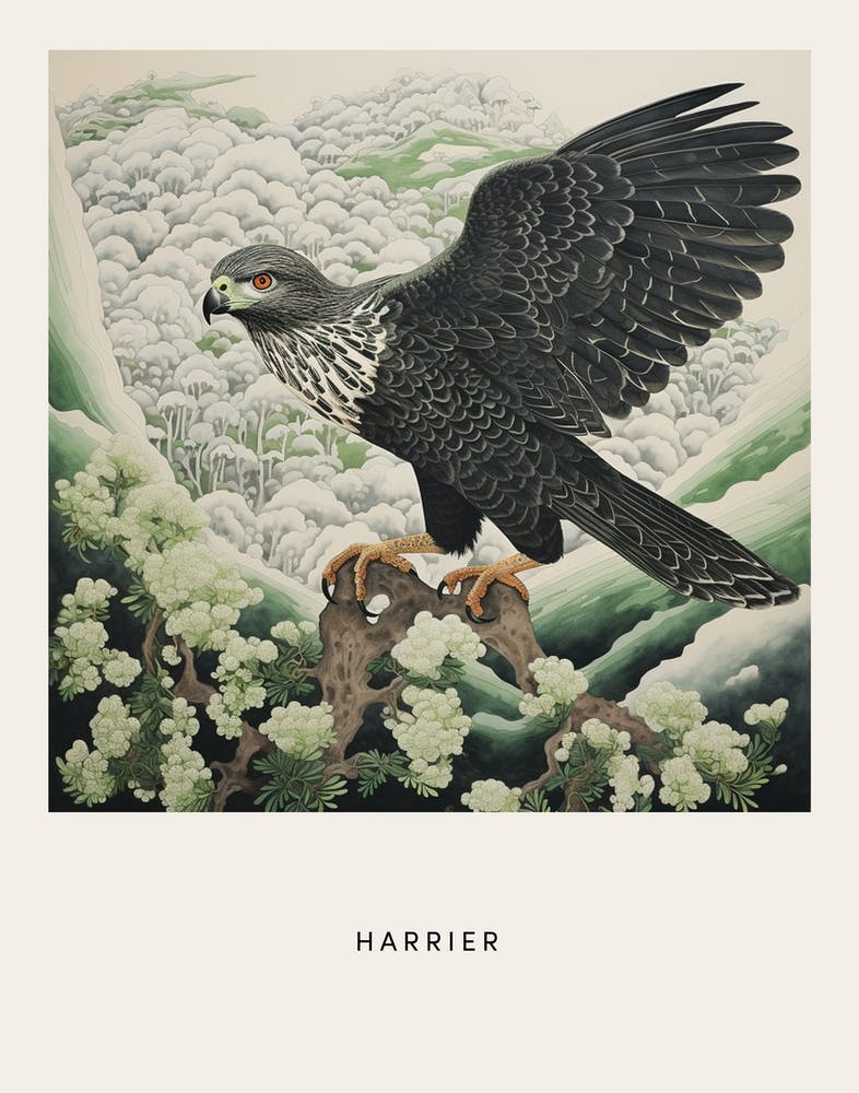 Ohara Koson Inspired Bird Painting Harrier 3 Poster
