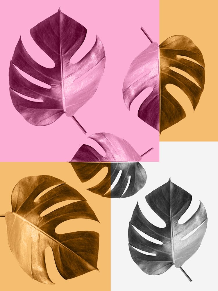 Fashion floral art 8