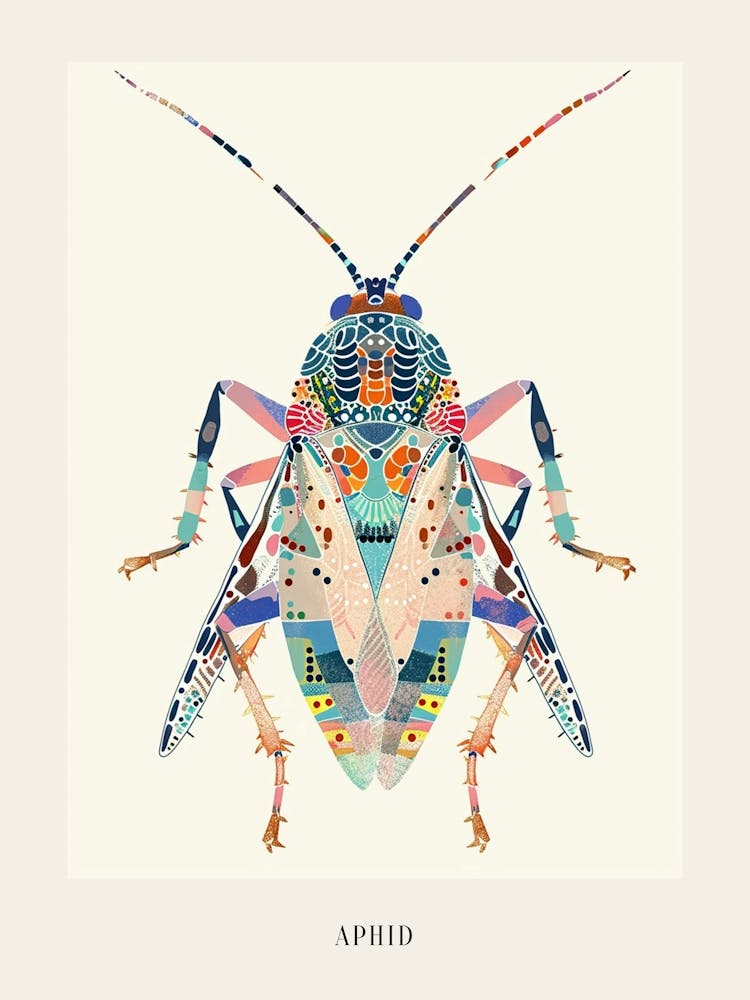 Colourful Insect Illustration Aphid 11 Poster