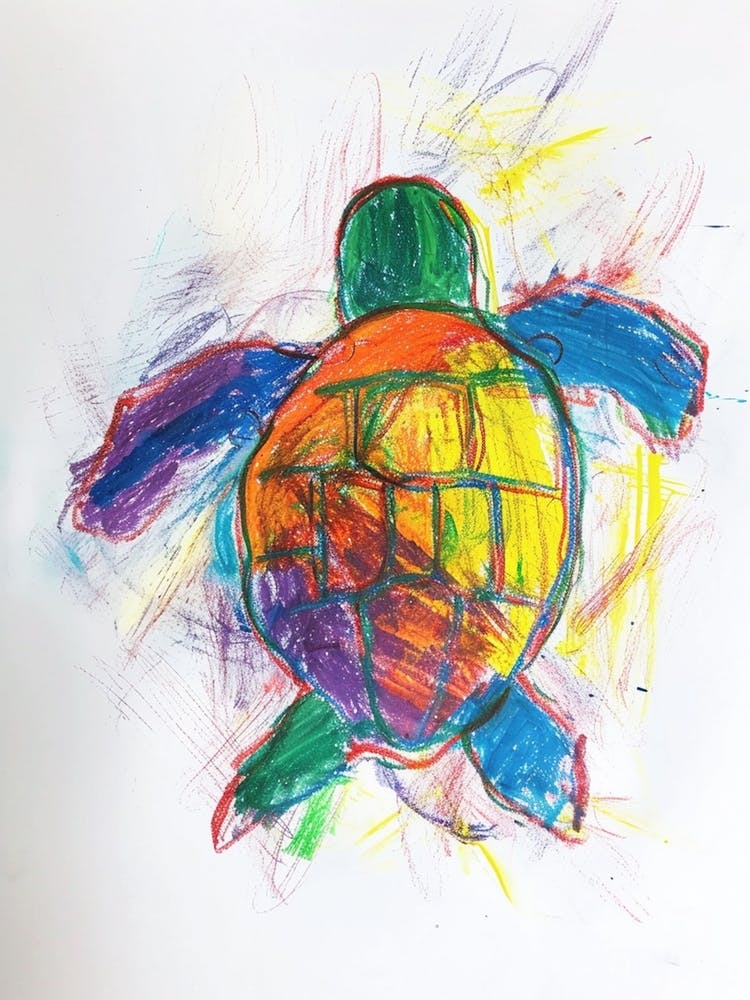 Minimalistisches Regenbogen-Schildkröten-Gekritzel