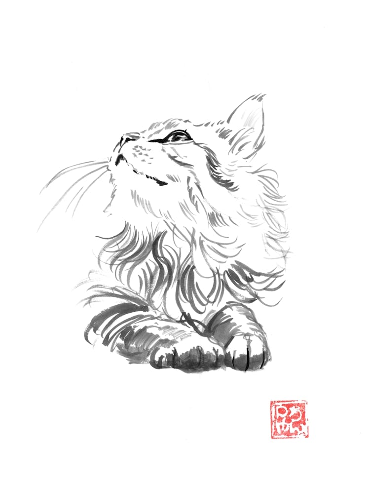 Happy Cat 1