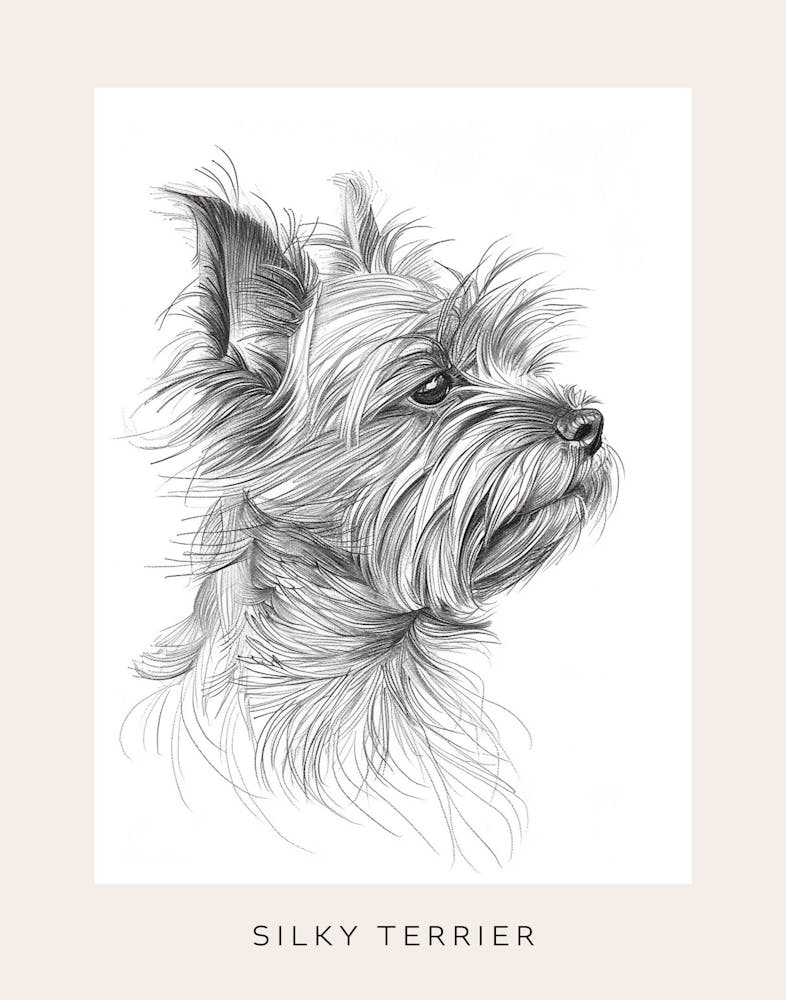 Silky Terrier Dog Line Sketch 3 Poster