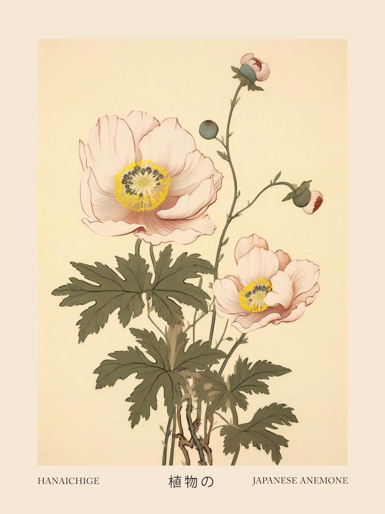 Hanaichige Japanese Anemone 3 Vintage Japanese Botanical Poster