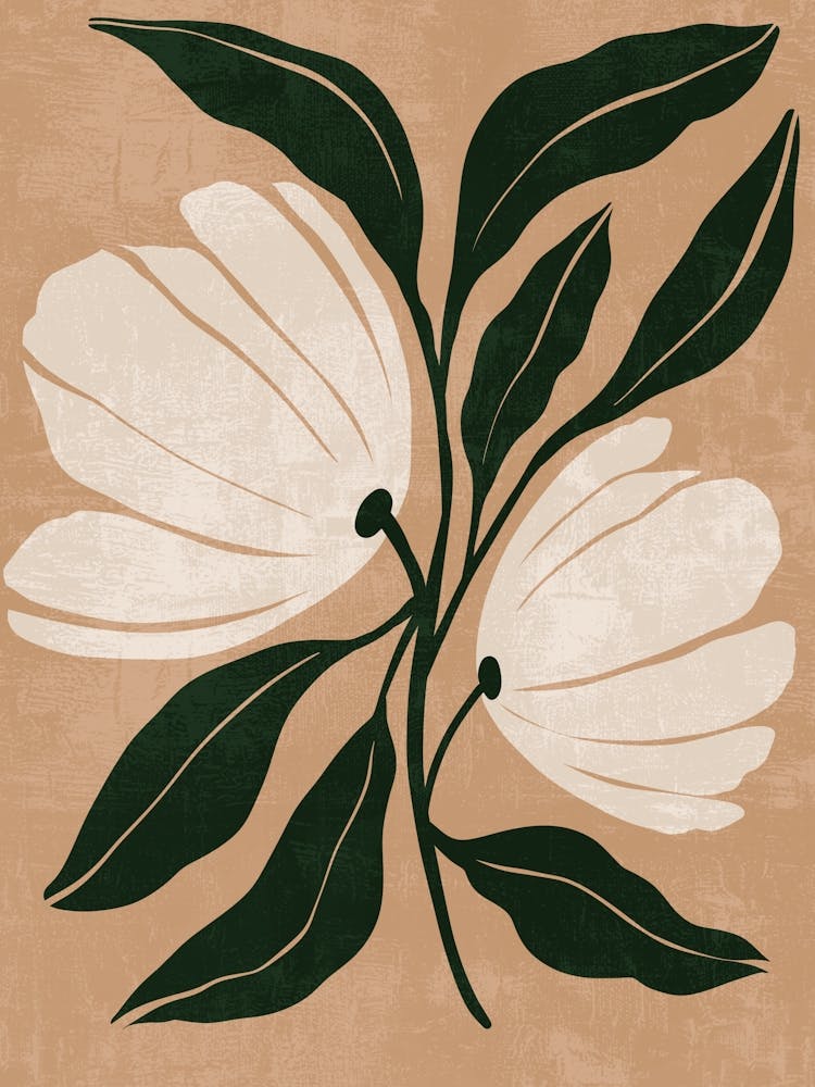 Magnolia