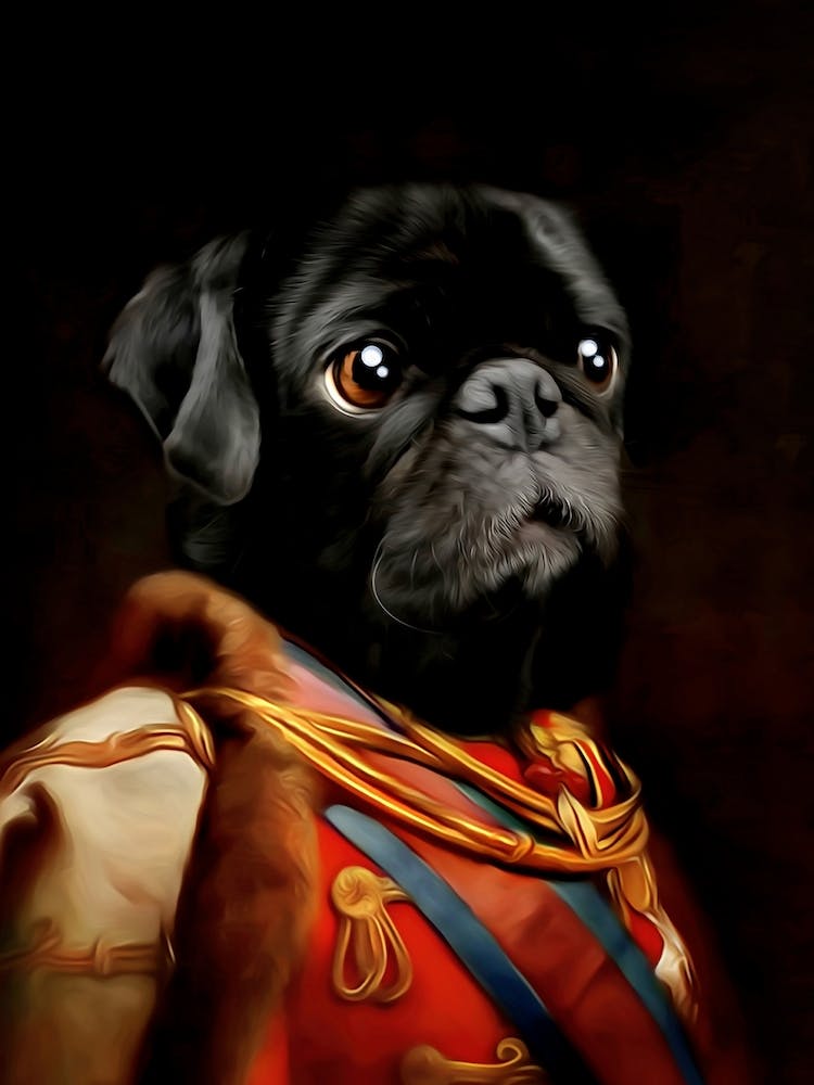 Sergeant Stok The Pug Pet Portraits