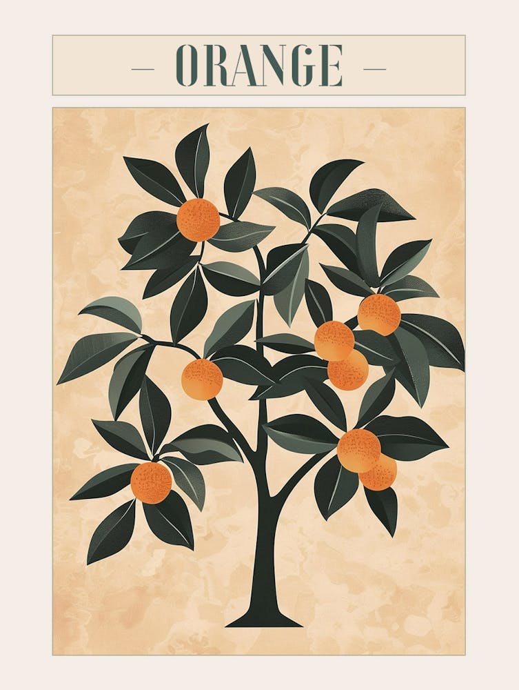 Orange Tree Minimal Japandi Illustration 2 Poster