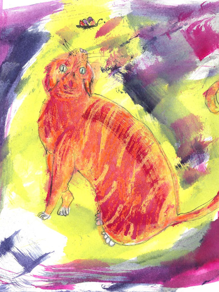 Cat And Butterfly