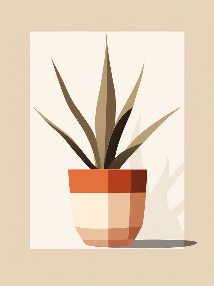 Agave Plant In A Pot