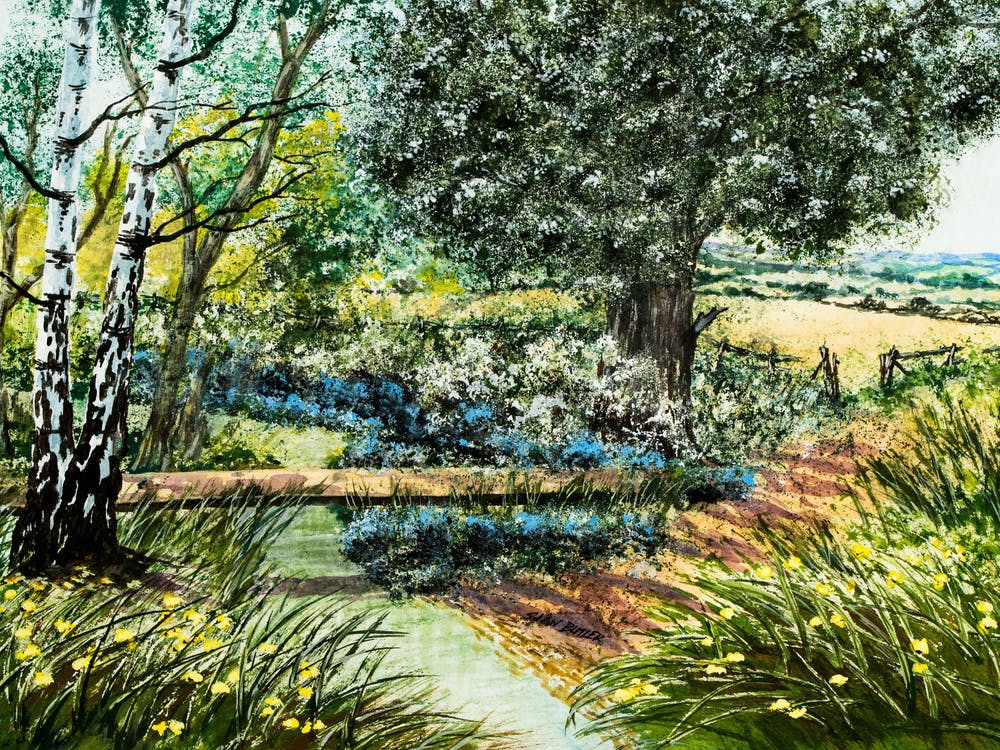 Walk In The Woods
