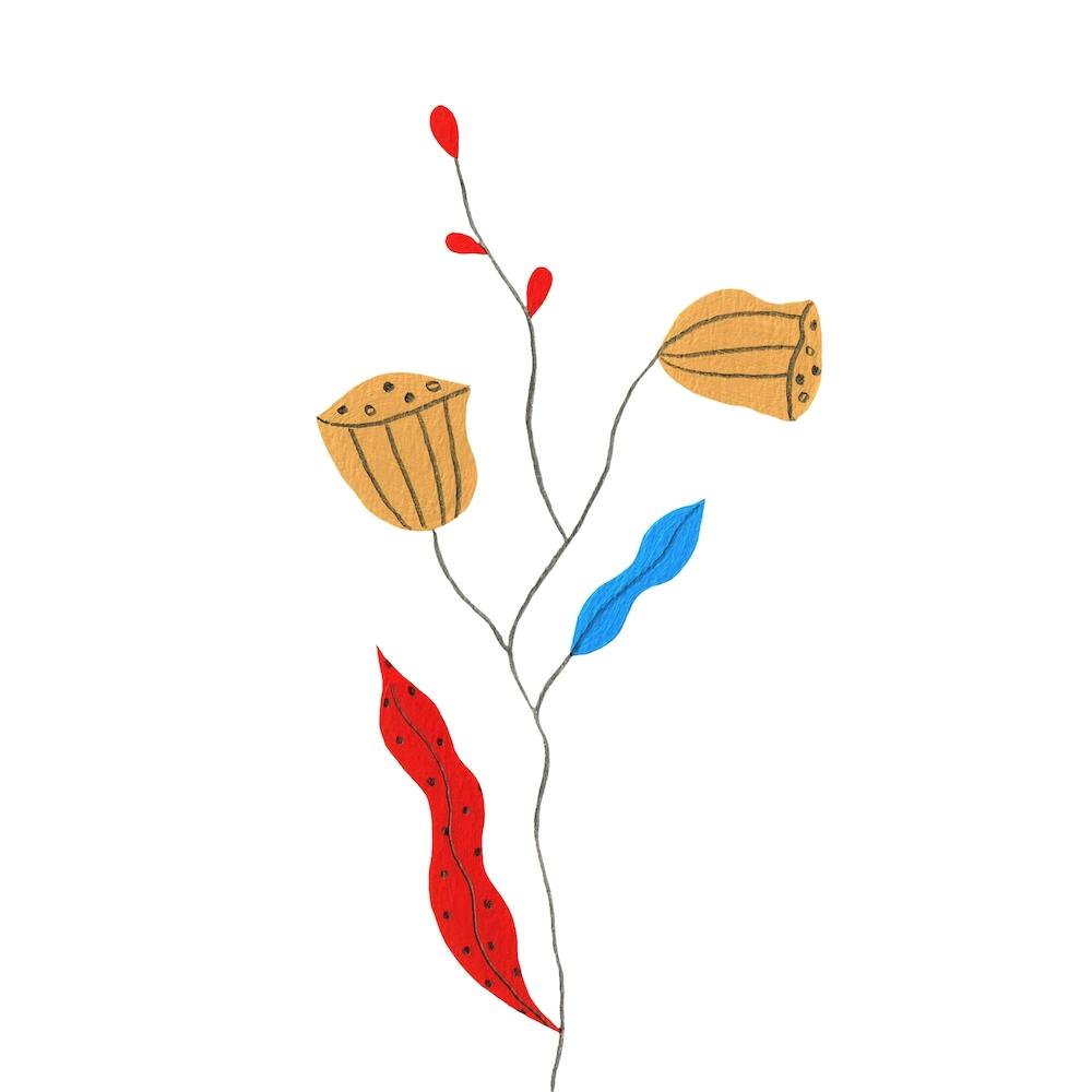 Flowers Primary Colours