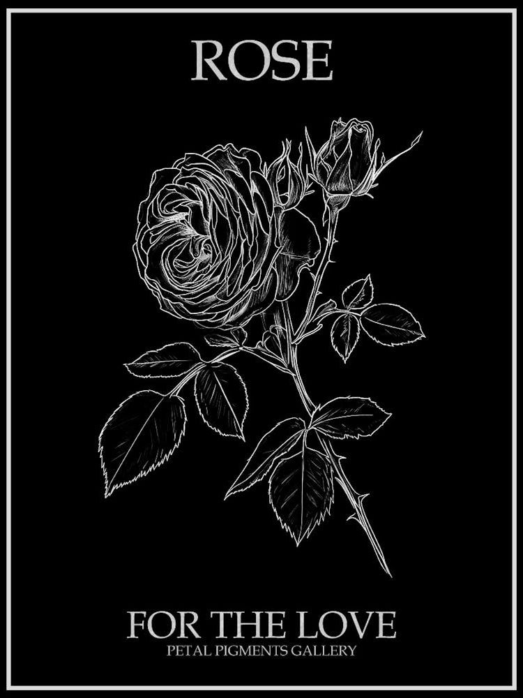 Black And White Rose Line Drawing 9 Poster Inverted