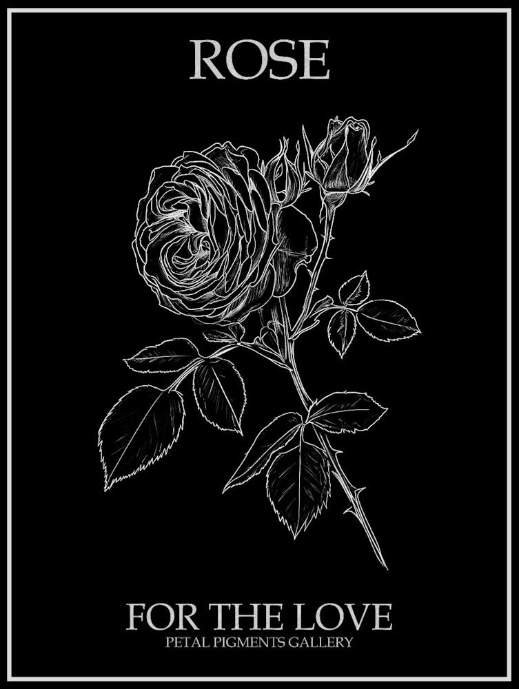 Black And White Rose Line Drawing 9 Poster Inverted