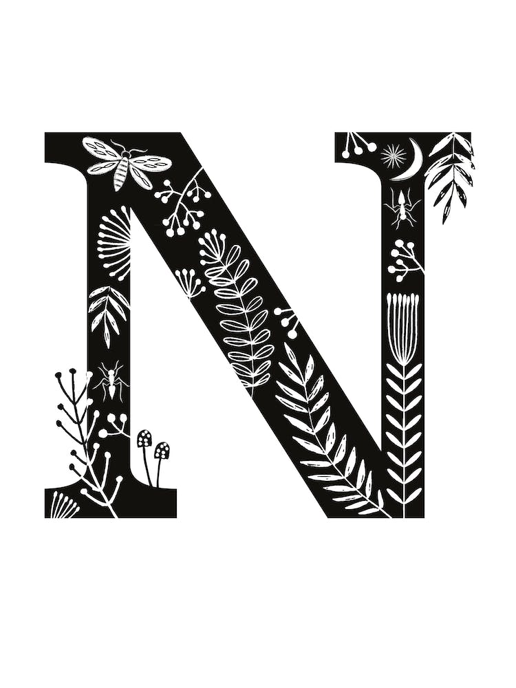Letter N
