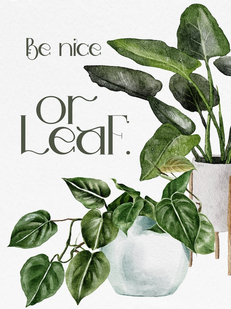 Be Nice Or Leave