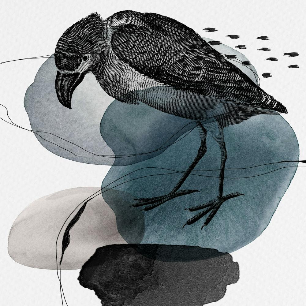 Feathered Friends Bird Black & Navy Square