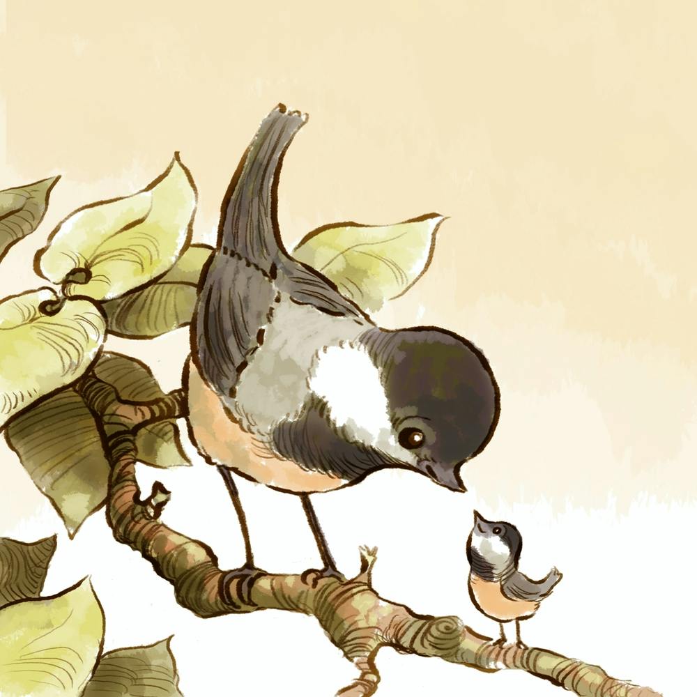Chickadee bird young child baby mother mom mummy mum sweet
