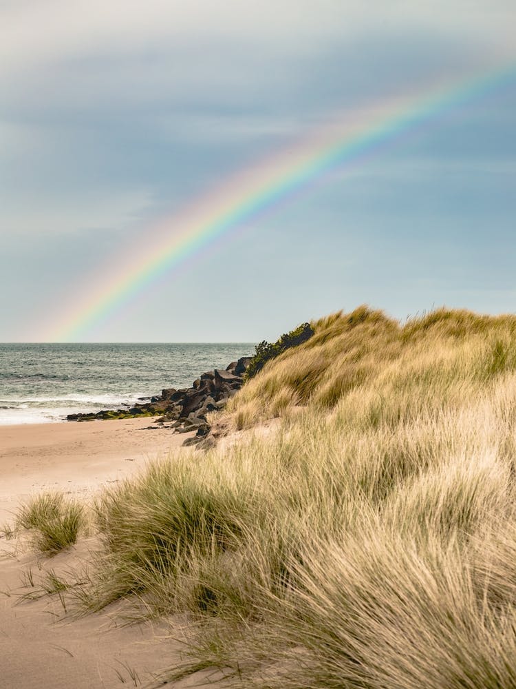 Calm After The Storm