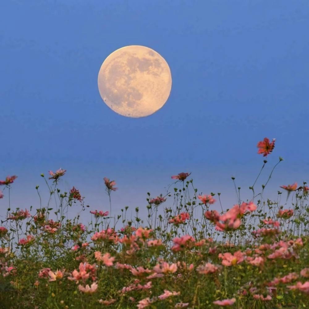 Full Moon Over Cosmos