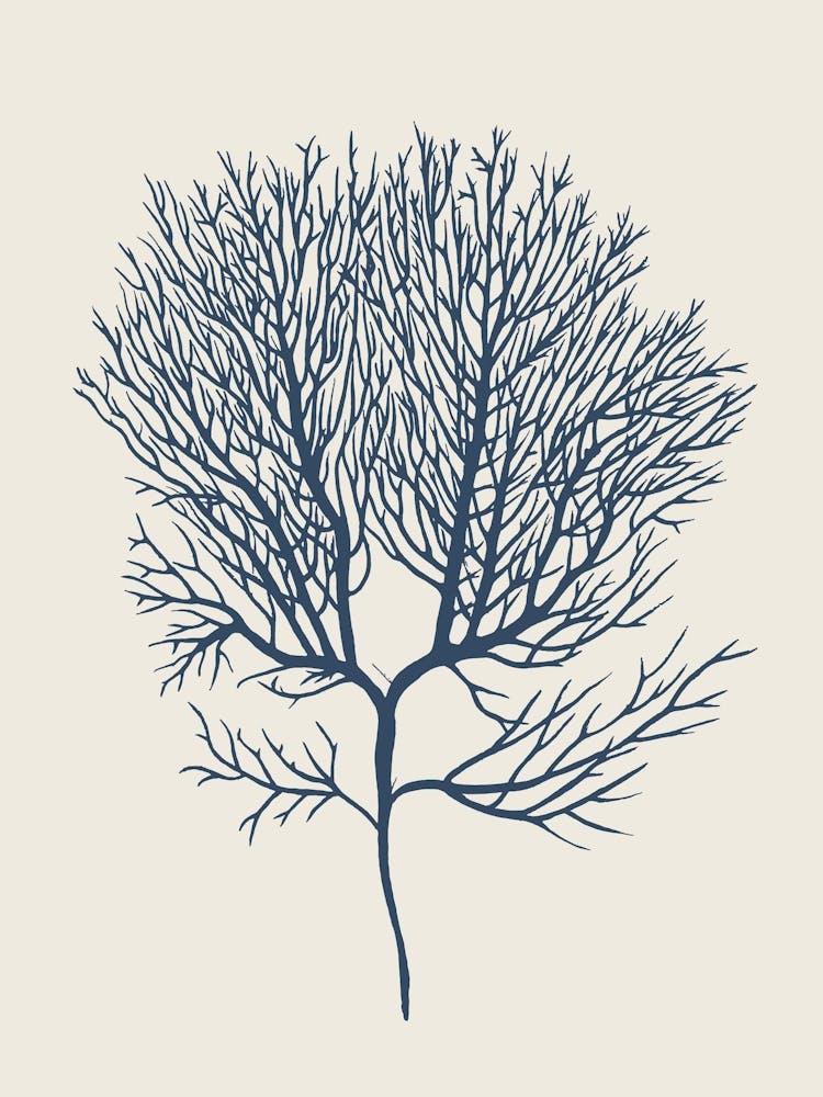 Stranddekor, Algen in Blau, Minimalistische Küstenkunst, Koralle