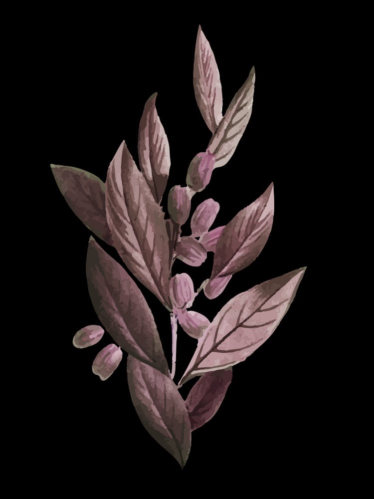 Hibiscus 19