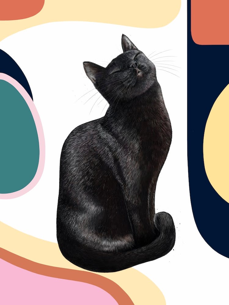 Black Cat On Modern Background