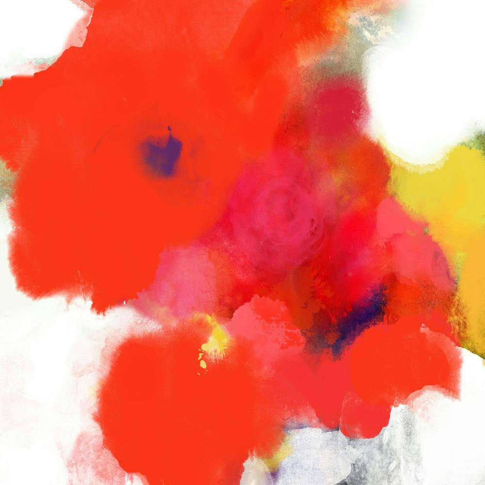 Bloom