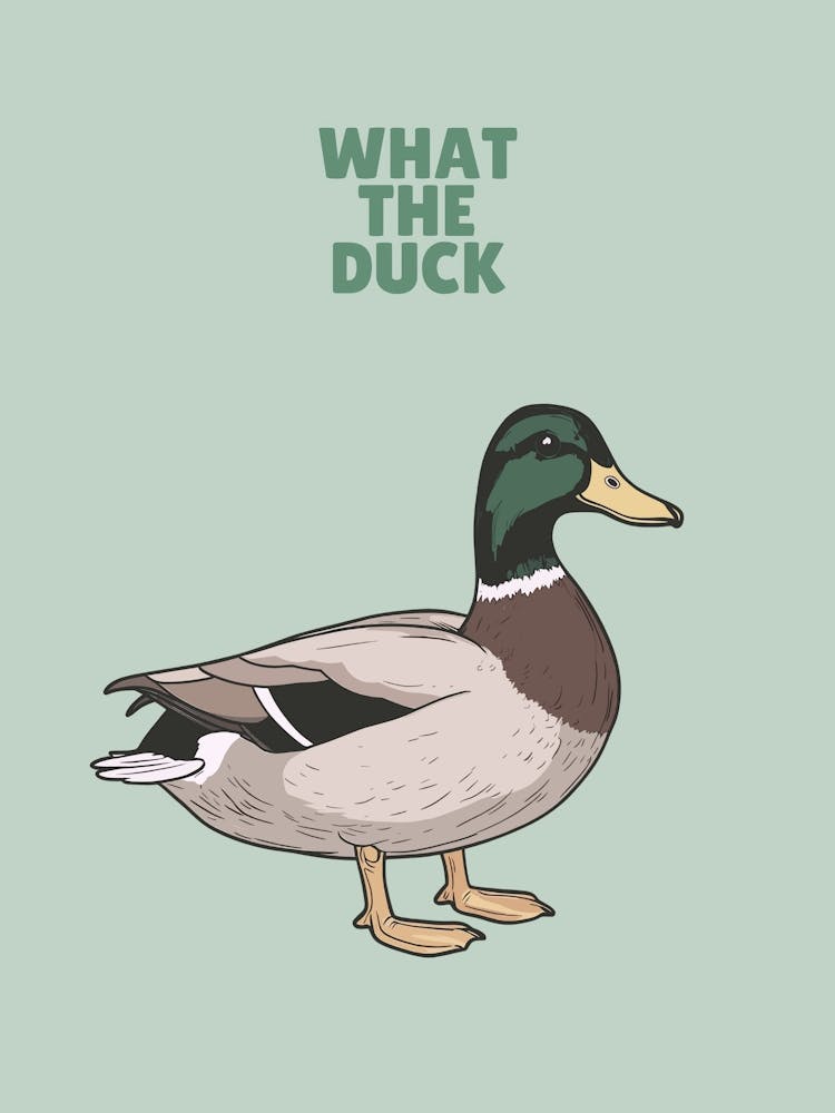 what the duck funny quote wall art with duck in sage greens, rustic aesthetic quirky artwork for modern farmhouse decor, fun animal art perfect for playful bathrooms, entryways, kitchens