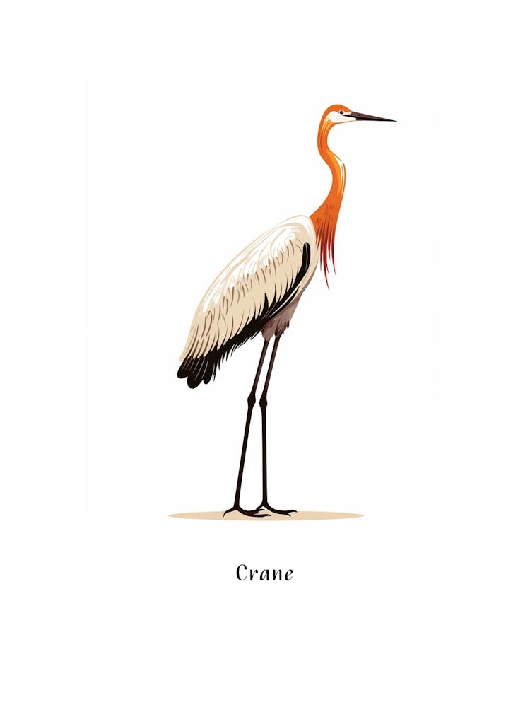 Crane Kids Animal Poster