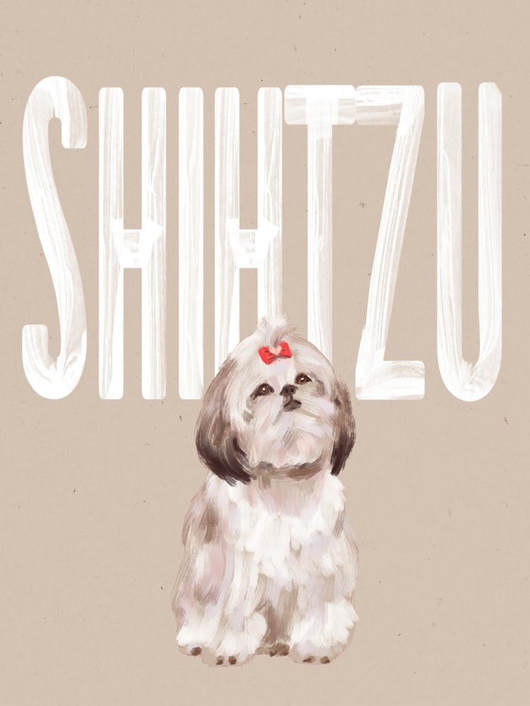 Shihtzu Dog